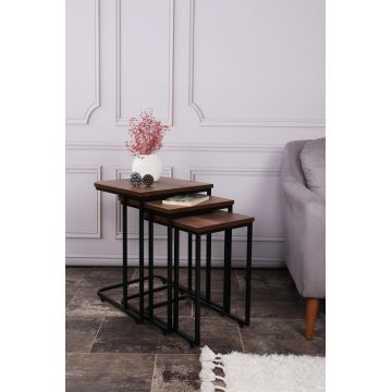 MASUTA DE CAFEA Ce Metal Zigo Table, Nuc, 46x49x41 cm - arsiv3